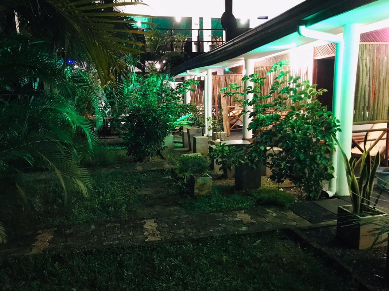 Lion Paradise Surf Beach Matara Kültér fotó