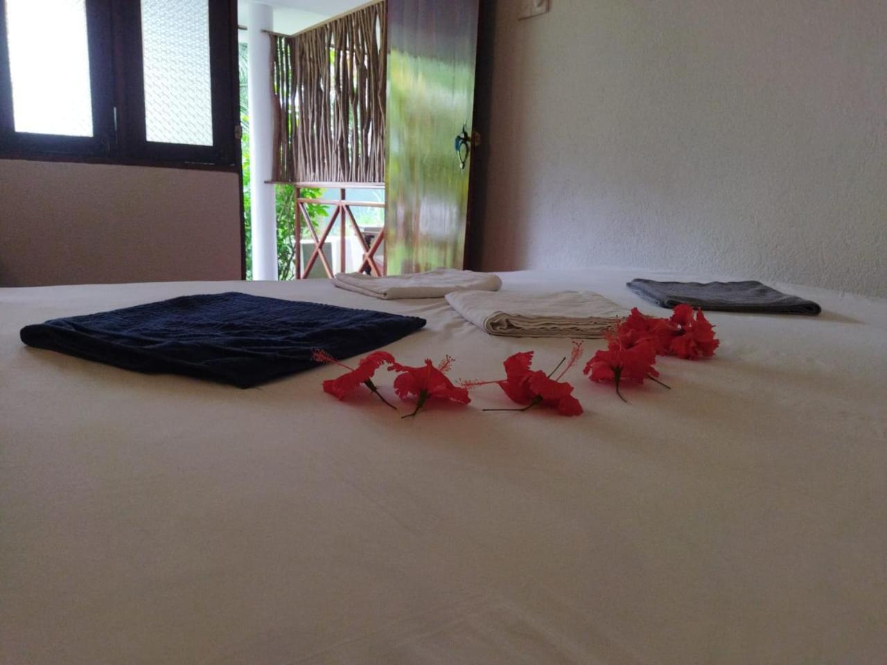 Lion Paradise Surf Beach Matara Szoba fotó