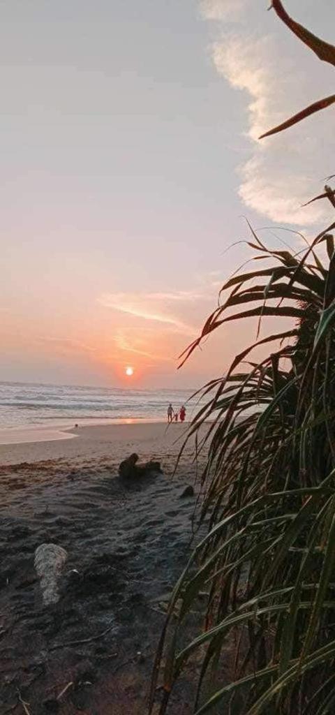 Lion Paradise Surf Beach Matara Kültér fotó