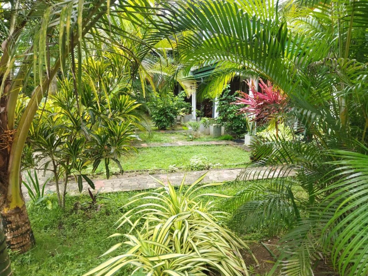 Lion Paradise Surf Beach Matara Kültér fotó