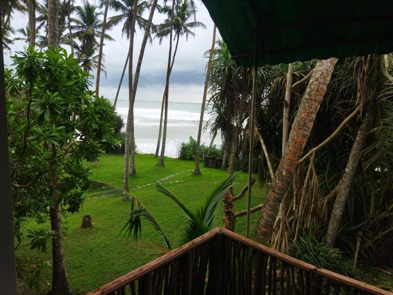 Lion Paradise Surf Beach Matara Kültér fotó
