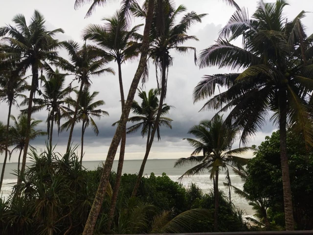 Lion Paradise Surf Beach Matara Kültér fotó