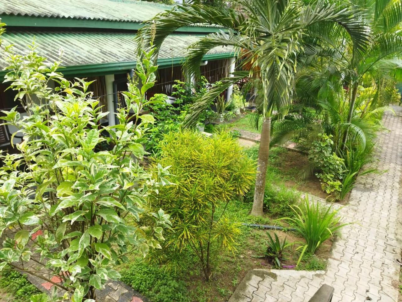 Lion Paradise Surf Beach Matara Kültér fotó