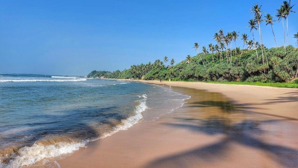 Lion Paradise Surf Beach Matara Kültér fotó